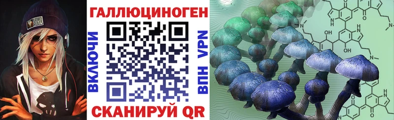 продажа наркотиков  Туринск  Галлюциногенные грибы Psilocybine cubensis 